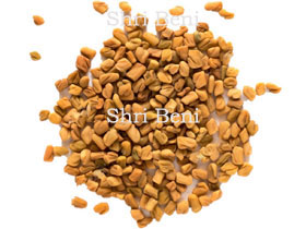 Methi Seed